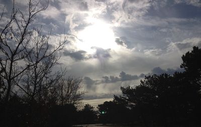 Low angle view of silhouette trees against sky