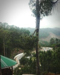 Scenic view of trees and mountains against sky