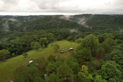 environment