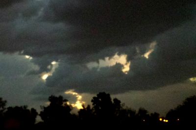 Low angle view of silhouette trees against sky at night