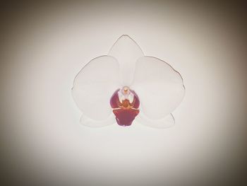 Low angle view of lighting equipment