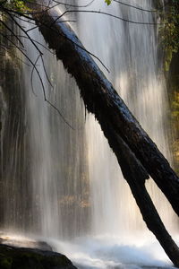 Scenic view of waterfall