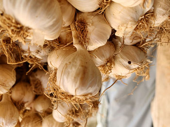 Full frame shot of dried plant