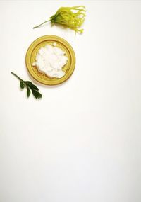 High angle view of food against white background