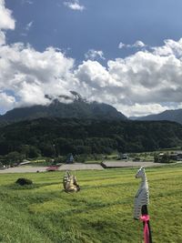 Rear view of horse on field against sky