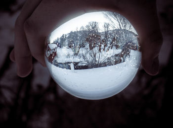Close-up of person holding glass during winter