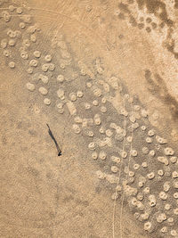 High angle view of a make on sand in desert