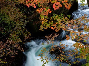 Scenic view of stream flowing through rocks during autumn