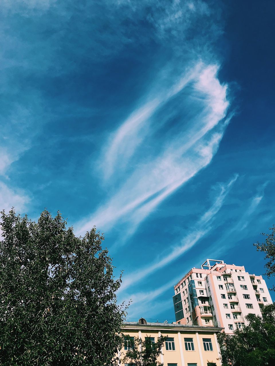 building exterior, architecture, built structure, tree, sky, plant, cloud - sky, building, city, nature, no people, low angle view, day, residential district, growth, outdoors, rainbow, blue, sunlight, beauty in nature, apartment