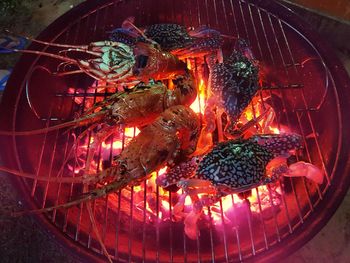 Close-up of meat on barbecue grill