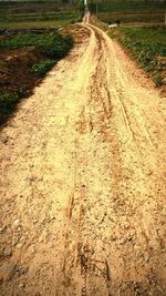 Road passing through field