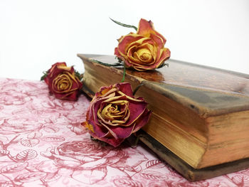 Close-up of roses on table