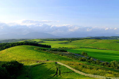 Scenic view of agricultural field against sky