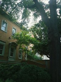 Built structure with trees in background