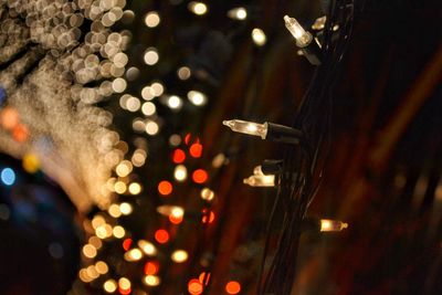 Illuminated christmas tree at night