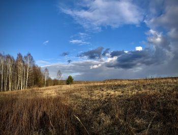 Scenic view of field against sky