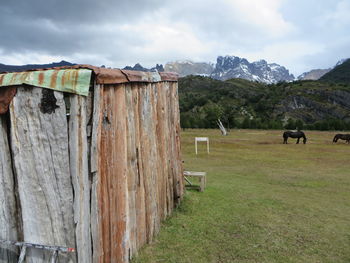 Horse grazing on field against sky
