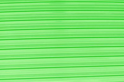 Full frame shot of green leaf