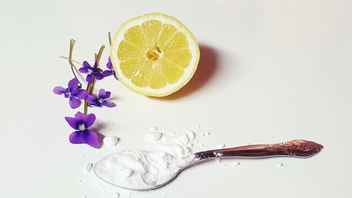 High angle view of purple flower on white background