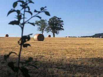 Hay bales on field against sky