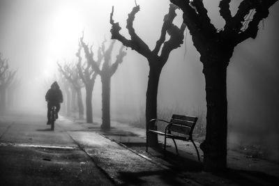 Rear view of man walking on bench in park