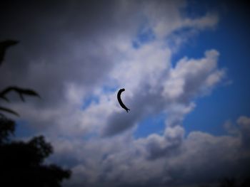 Low angle view of bird flying against cloudy sky