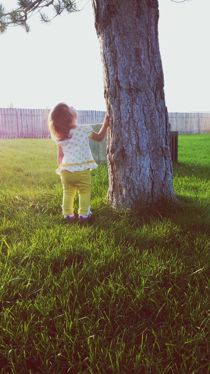 grass, lifestyles, field, leisure activity, grassy, full length, casual clothing, childhood, standing, green color, rear view, tree, person, growth, clear sky, nature, day, girls