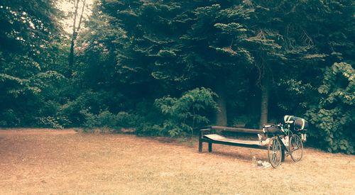 Empty bench in park