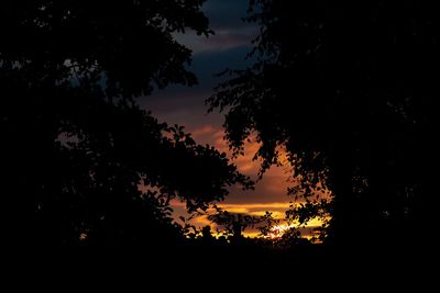 Low angle view of silhouette trees against orange sky