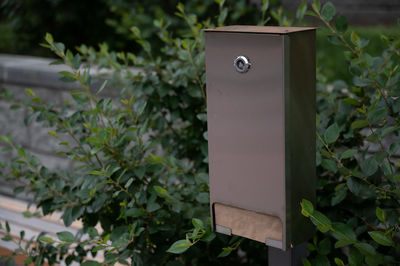 Close-up of birdhouse on plant