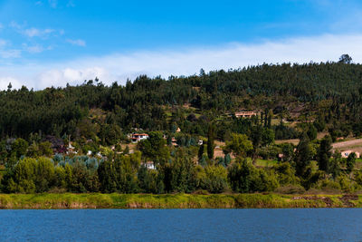 Scenic view of lake by trees against sky