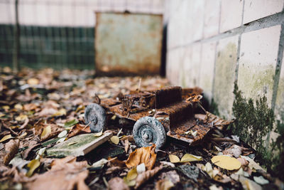 Rusty and deteriorated toy car on ground with autumn leaves in chernobyl