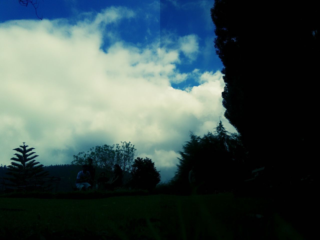 SILHOUETTE OF TREES ON LANDSCAPE AGAINST CLOUDY SKY