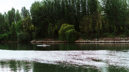 Reflection of trees in lake