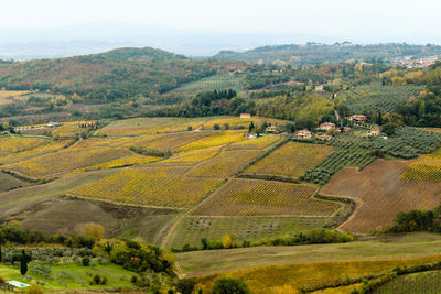 High angle view of agricultural landscape