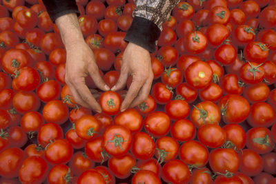 Full frame shot of tomatoes in market