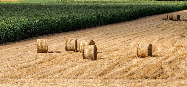 Hay bale on farm field