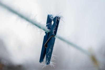 Close-up of clothespins on clothesline