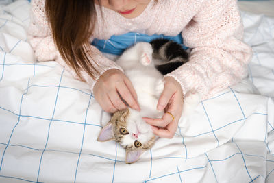 Woman play and take care her pet scottish straight tabby classic cat