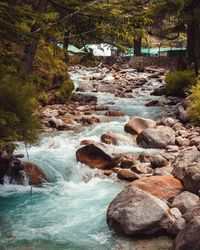 Stream flowing through rocks in forest