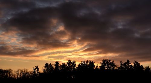 Silhouette trees against sky during sunset