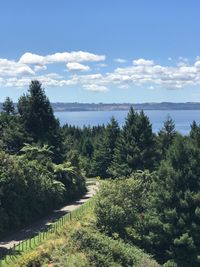 Scenic view of trees against sky