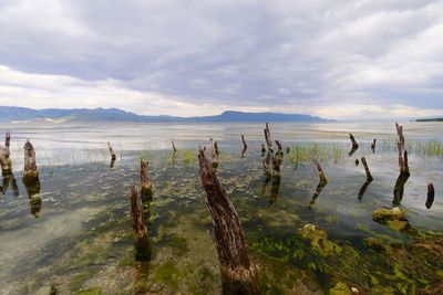 Scenic view of lake against sky