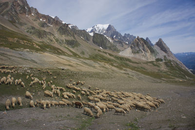 Scenic view of landscape and mountains against sky