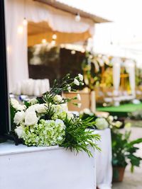 White flowers on table