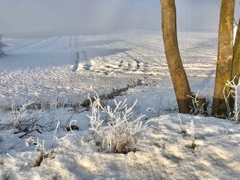 Scenic view of snow covered land