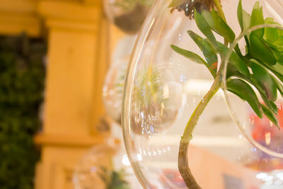 Close-up of glass on table