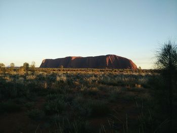 Scenic view of field against clear sky