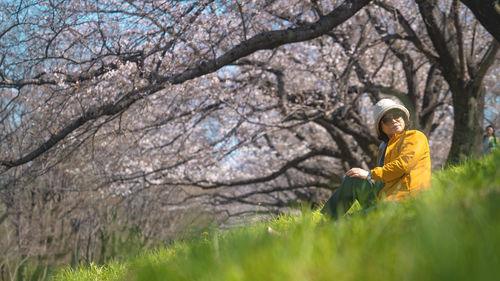 Low angle view of woman sitting on cheery blossom trees