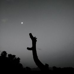 Low angle view of silhouette statue against sky
